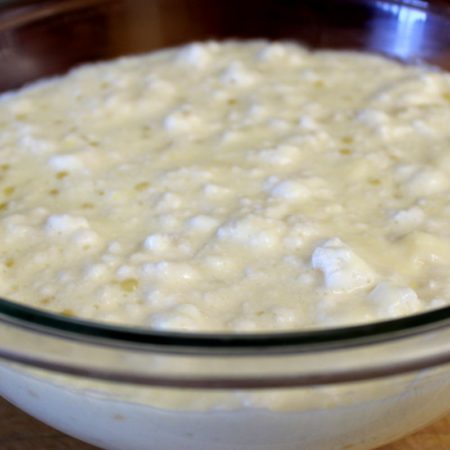 Tapioca Pudding