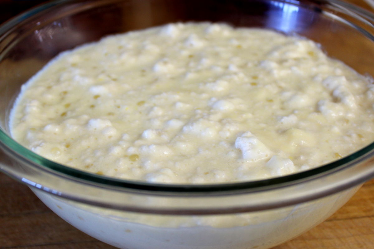 Tapioca Pudding